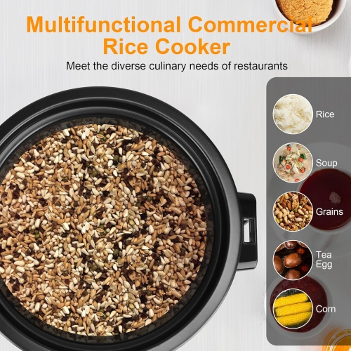 40 Cups Commercial Rice Cooker/Warmer