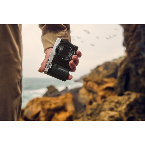 Appareil photo numérique Wi-Fi vidéo 4K à zoom optique 30x de 20,3 Mpx LUMIX ZS99S de Panasonic - Argenté