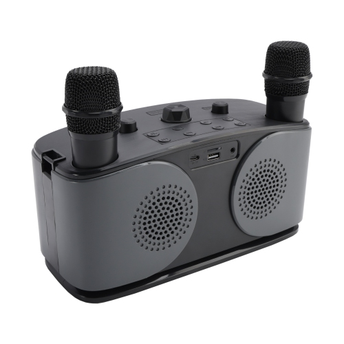 Wireless Bluetooth Speaker 20W High Power Home Theater Karaoke All-in-One Audio