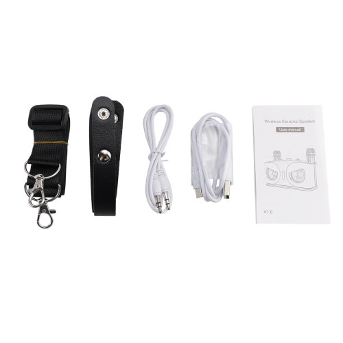 Wireless Bluetooth Speaker 20W High Power Home Theater Karaoke All-in-One Audio