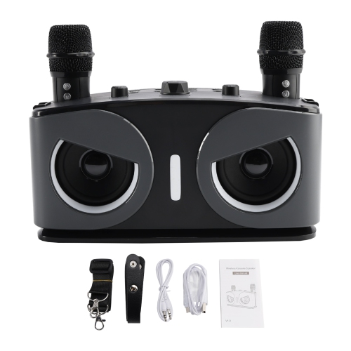 Wireless Bluetooth Speaker 20W High Power Home Theater Karaoke All-in-One Audio