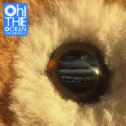 MATTHEW MURPHY DAN H  The Wombats - Oh The Ocean (Transparent Vinyl) - (Colored Vinyl) - [Vinyl] In Blue