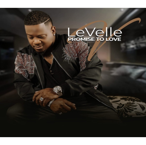 Levelle - Promise To Love - [CD]