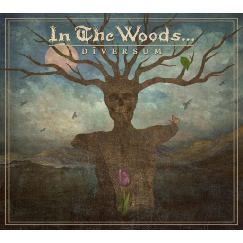 SOULSELLER  In The Woods... - Diversum - [CD]