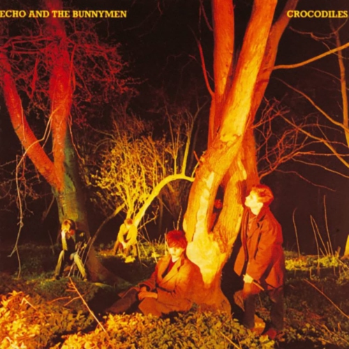 Echo & the Bunnymen - Crocodiles - - [Vinyl]