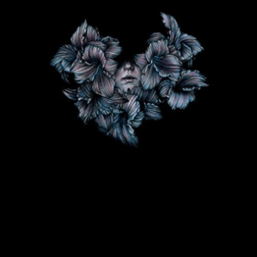 A Lot Like Birds - Divisi - [Vinyl]