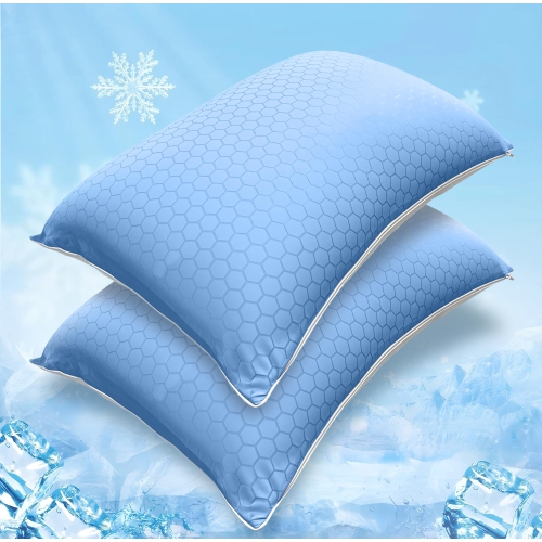 Canadian Linen Cooling Waterproof Pillow Protector Zipper Encasement, 20"x30" Queen, 2 pack, Soft Absorbent Breathable Bed Bug Proof Pillow BedCover