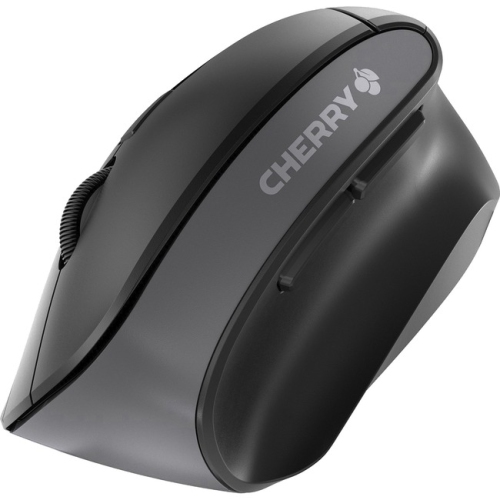 CHERRY MW 4500 MW 4500 Mouse