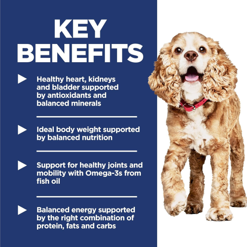 Hill's Science – Repas de poulet pour adultes de 11 ans et plus, recette de riz brun et d'orge, nourriture sèche pour chiens, sac 4,5 lb