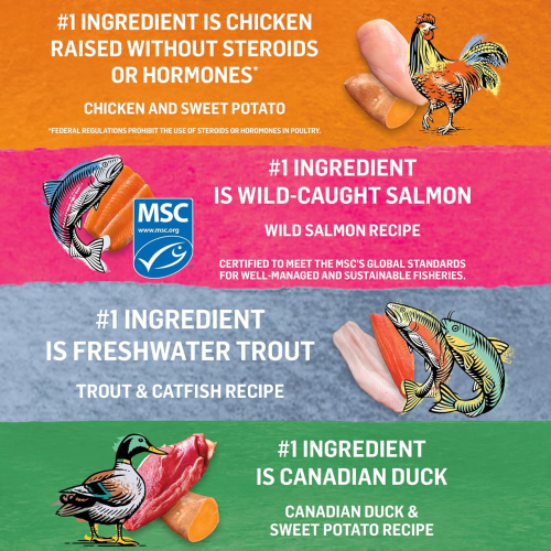 Engrais naturel pour chats Beyond Grain, pâté, emballage varié, 4 saveurs – boîte de 85 g