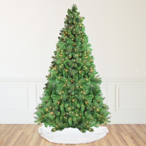 Pre-Lit Canterbury Spruce with Dew Drops Artificial Christmas Tree - 9' - Clear Lights