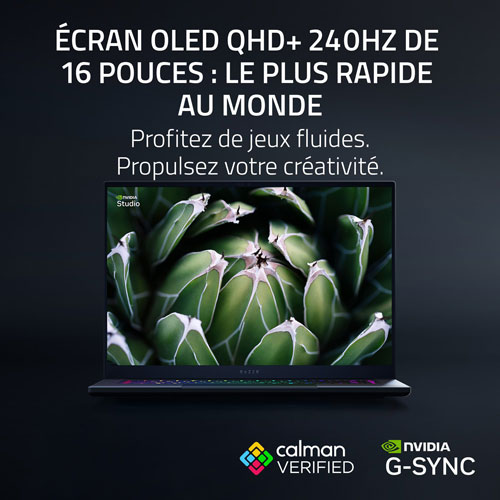 Portable de jeu de 16 po Blade de Razer - Noir