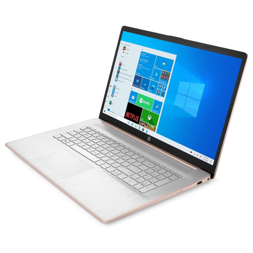 HP 17.3" HD+ BrightView Laptop - Rose Gold(Intel Celeron N4120/ 1TB SSD /16GB RAM/Windows 11 Pro)