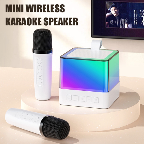 Karaoke Machine with Wireless Microphone with 2 Wireless Microphones, Party Speaker, Stable Transmission Karaoke Speaker System for Family Reunions