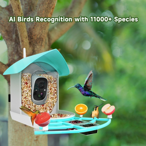 Smart Bird Feeder with Camera,AI Identify Bird Breed,Solar-Powered WiFi HD Live Camera,Auto Capture Garden Bird Watching
