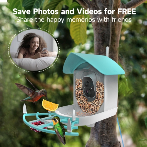 Smart Bird Feeder with Camera,AI Identify Bird Breed,Solar-Powered WiFi HD Live Camera,Auto Capture Garden Bird Watching