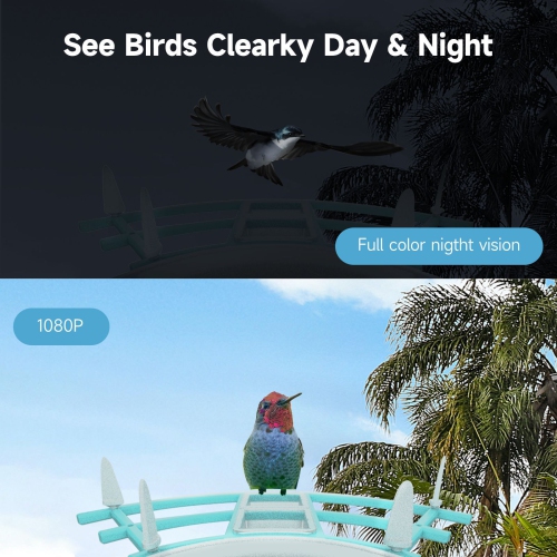 Smart Bird Feeder with Camera,AI Identify Bird Breed,Solar-Powered WiFi HD Live Camera,Auto Capture Garden Bird Watching