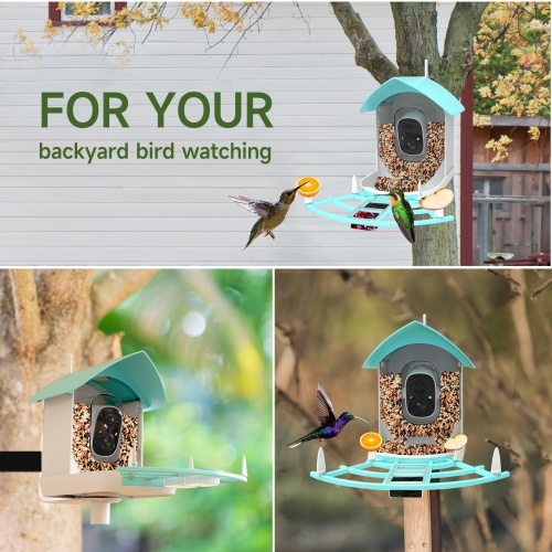 Smart Bird Feeder with Camera,AI Identify Bird Breed,Solar-Powered WiFi HD Live Camera,Auto Capture Garden Bird Watching