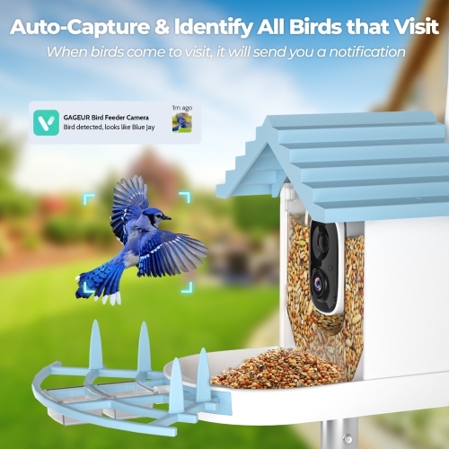 Smart Bird Feeder with Camera,AI Bird Species Recognition,HD Real-Time Video & Motion Detection,WiFi Camera with Solar Panel