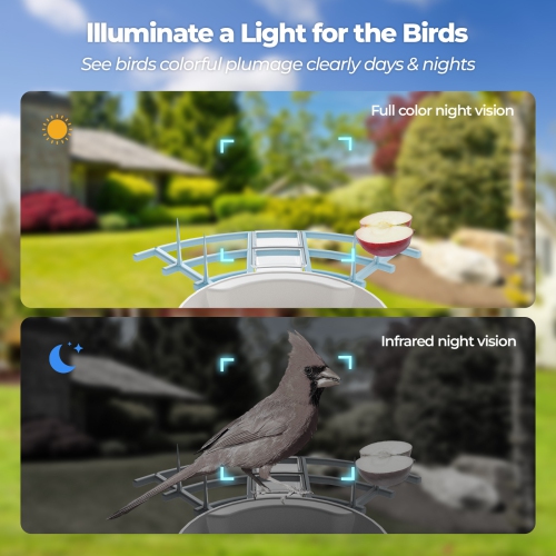 Smart Bird Feeder with Camera,AI Bird Species Recognition,HD Real-Time Video & Motion Detection,WiFi Camera with Solar Panel