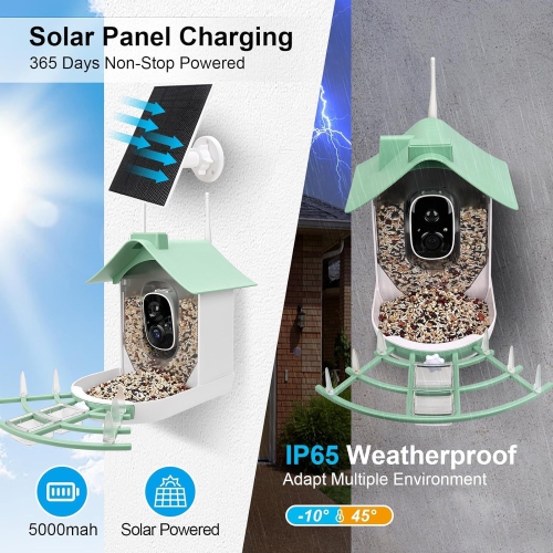 Mangeoire à oiseaux avec caméra, Maison à oiseaux intelligente, Caméra HD AI Identification des espèces d'oiseaux, Vidéo d'oiseaux à capture