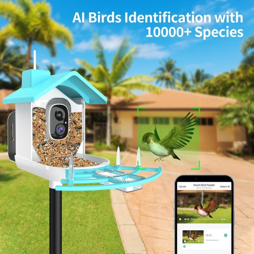 Mangeoire intelligente avec caméra AI Identification des espèces d'oiseaux, Capture automatique des vidéos d'oiseaux, Vue en direct, Cabane à oiseaux