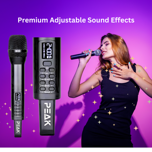 PEAK Karaoke ELITE PRO+ STAGE I Karaoke System - 1200W