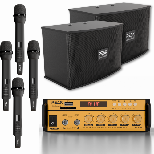 Système de karaoké STAGE I GOLD PRO+ DE PEAK Karaoke - 600&nbsp;W
