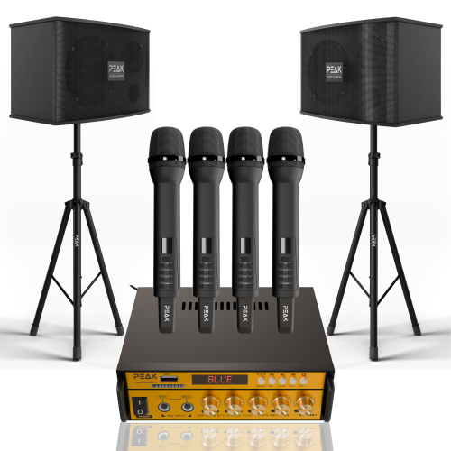 Système de karaoké STAGE I GOLD PRO+ DE PEAK Karaoke - 600&nbsp;W