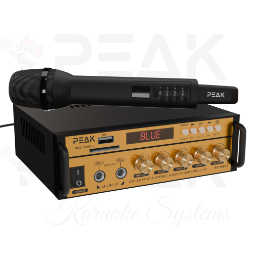 Système de karaoké STAGE I GOLD PRO+ DE PEAK Karaoke - 600&nbsp;W