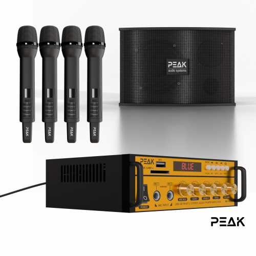 Système de karaoké STAGE I GOLD PRO+ DE PEAK Karaoke - 600&nbsp;W