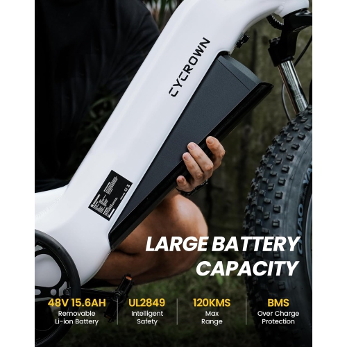 Vélo électrique CycVerve de CYCROWN pour adultes avec porte-bagages et garde-boue - Gris foncé