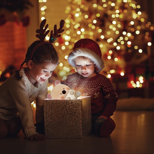 Toddler Night Light, Squishy Night Light for Kids with 2 Level Brightness and Timer, Baby Night Lights for Nursery, Rechargeable Touch Night Lamp