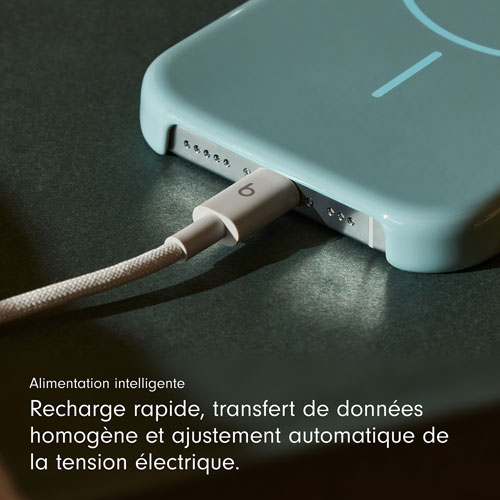 Câble tissé USB-A à USB-C de 1,5 m de Beats By Dr. Dre (MDGJ4LL/A) - Gemme éclair