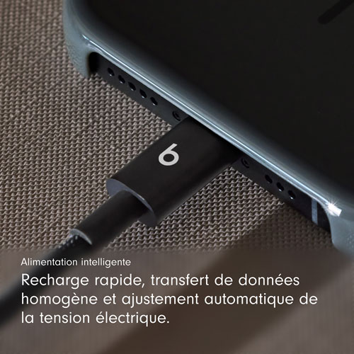 Câble tissé USB-C à USB-C de 0,2 m de Beats By Dr. Dre (MEQ94LL/A) - Noir éclair