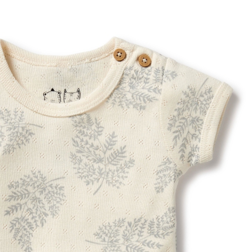 Wilson+Frenchy Organic Cotton Pointelle Bodysuit - Forever Ferns