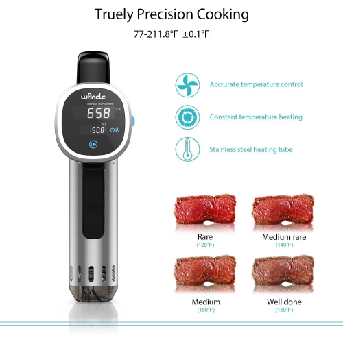 Wancle – Cuiseur sous vide, circulateur d'immersion thermique, 850 W, minuterie numérique, acier inoxydable/noir