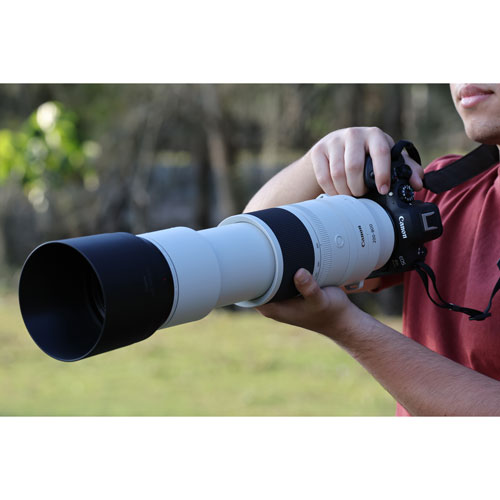 Canon RF 200-800mm f/6.3-9 IS USM Telephoto Lens