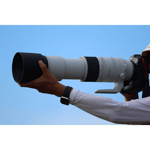 Canon RF 200-800mm f/6.3-9 IS USM Telephoto Lens