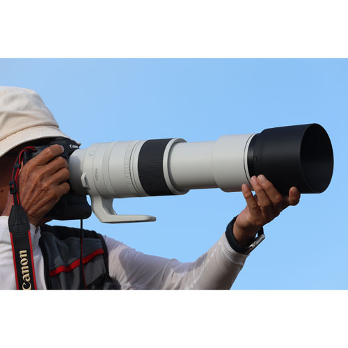Canon RF 200-800mm f/6.3-9 IS USM Telephoto Lens