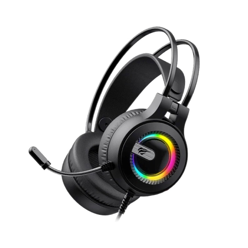 Casque de jeu H2040D RVB dynamique 3,5 mm auxiliaire + USB avec haut-parleurs 50 mm et micro - Noir de Havit