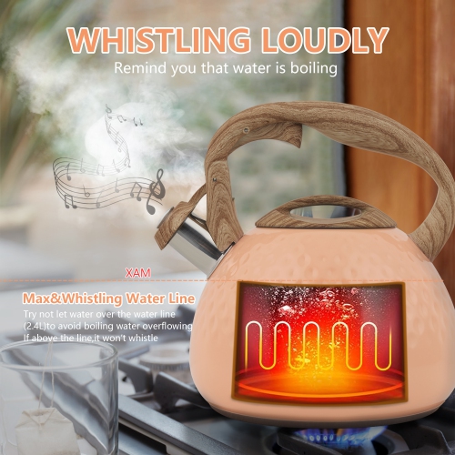 Zachvo harriet Tea Kettle, Tea Pot for Stovetop, 2.5QT Whistling Kettle with 5-Layers bottom, Food Grade Stainless Steel Kettles with Hot-Resistant