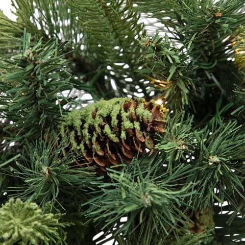 Pre-Lit Battery Operated Mossy Cashmere Pine Artificial Christmas Wreath - 32" - Clear Led Lights