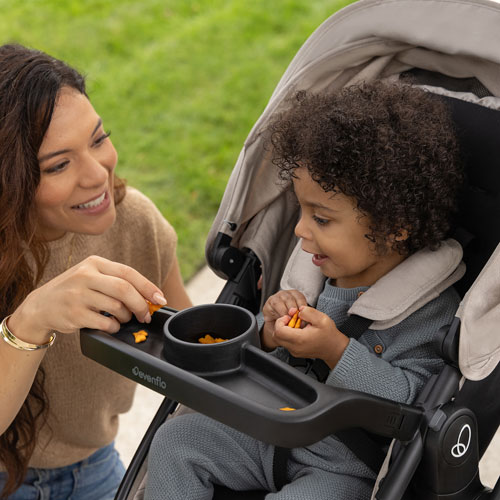 Evenflo Omni Signature Convertible Stroller with LiteMax Infant Car Seat - Porto Black
