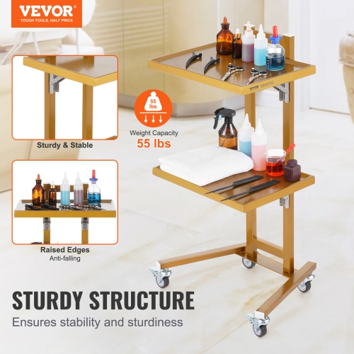 VEVOR 2 Tiers Stainless Steel Lab Carts, Lab Utility Cart with 2 Trays, Mobile Medical Cart with 4 Silent Wheels, Lab Rolling Cart for Lab, Clinic,