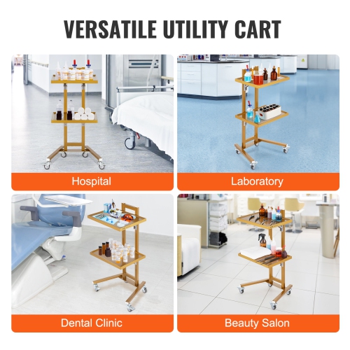 VEVOR 2 Tiers Stainless Steel Lab Carts, Lab Utility Cart with 2 Trays, Mobile Medical Cart with 4 Silent Wheels, Lab Rolling Cart for Lab, Clinic,