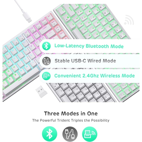 Clavier de jeu mécanique sans fil Bluetooth/RVB 2,4 GHz 75 % RK84 de RK ROYAL KLUDGE, clavier à trois modes connectable avec interrupteur rouge