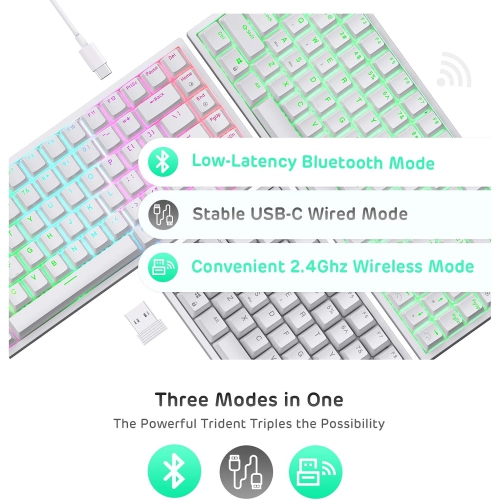 RK ROYAL KLUDGE RK84 Wireless Bluetooth/2.4Ghz 75% RGB Mechanical Gaming Keyboard, Three Modes Connectable Keyboard with Hot-Swappable Tactile Blue