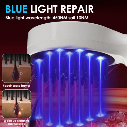 Red & Blue Light Therapy Hair Growth Comb,Hair Oil Applicator,Electric Hair Growth & Anti-hair Loss Massage Comb,Vibration Massage Comb for Women Men