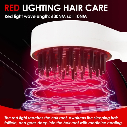 Red & Blue Light Therapy Hair Growth Comb,Hair Oil Applicator,Electric Hair Growth & Anti-hair Loss Massage Comb,Vibration Massage Comb for Women Men
